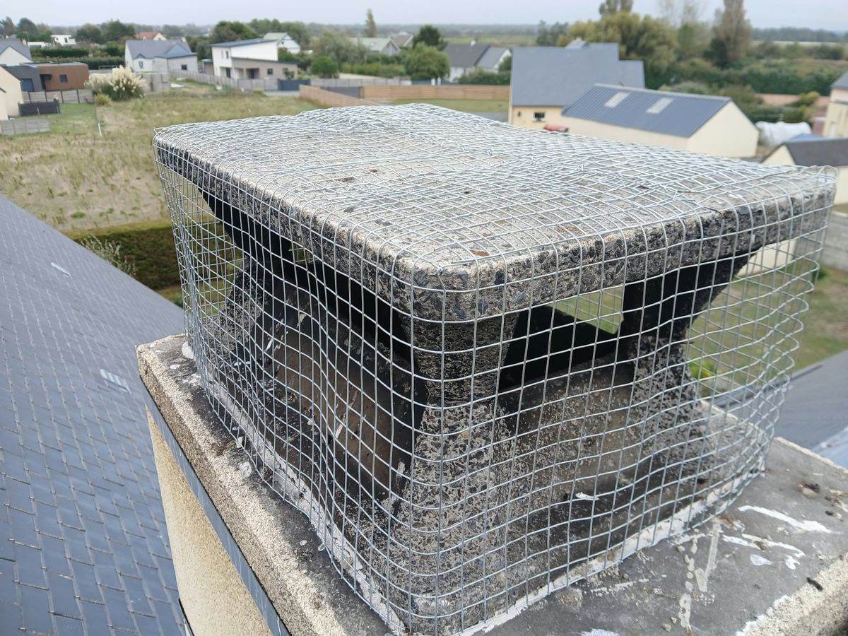 Grillage anti-oiseaux posé sur le chapeau et les côtés d'une sortie de cheminée, vue de trois quarts